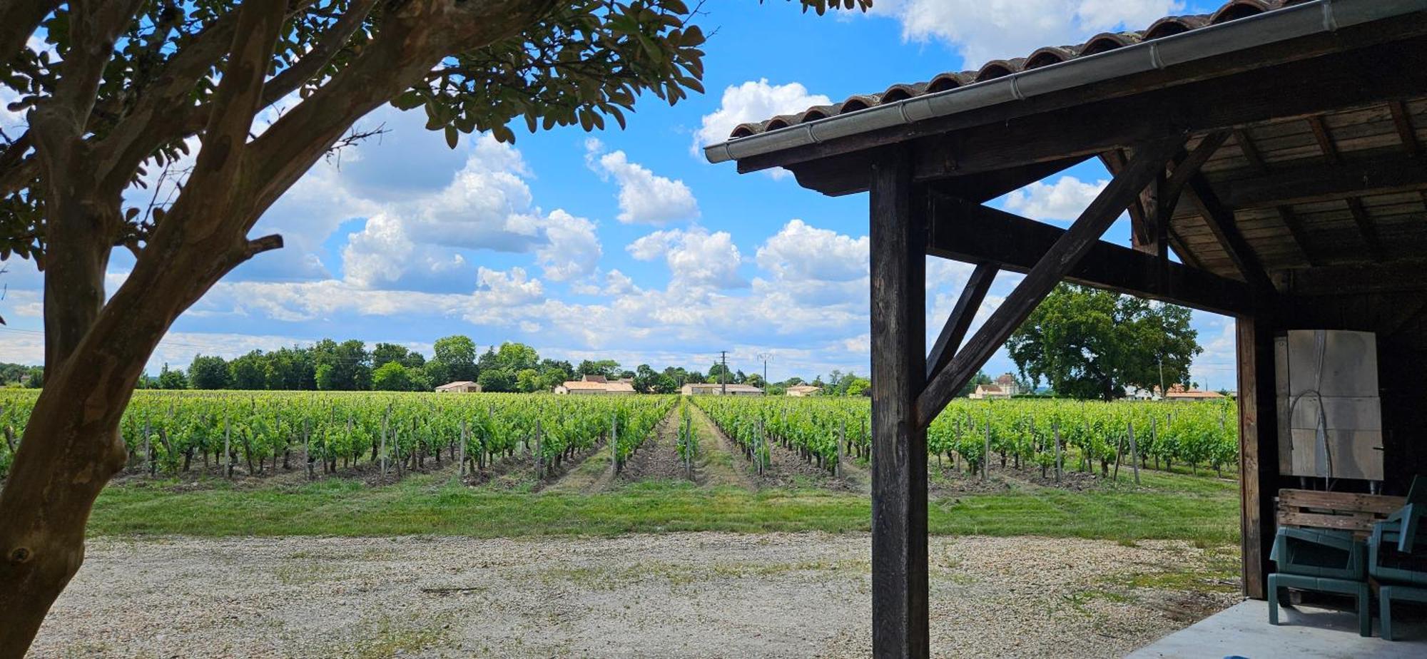 Gite Chateau Touzinat - Saint-Émilion Dış mekan fotoğraf