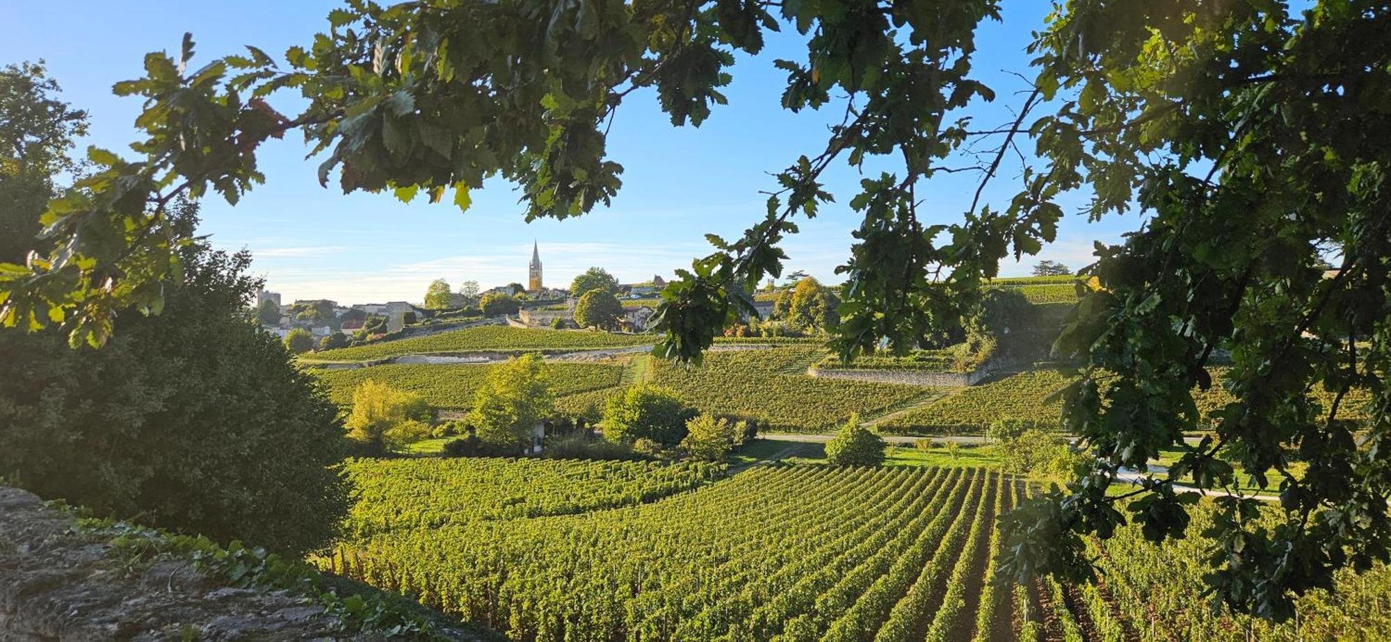 Gite Chateau Touzinat - Saint-Émilion Dış mekan fotoğraf